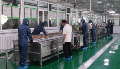 平罗县姚伏镇:标准化生产助力冷凉蔬菜产业走上高质量发展快车道